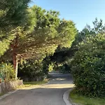 Les Flamants Roses La Capte T2 4 Personnes 200m De La Apartment