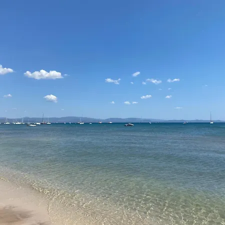 Les Flamants Roses La Capte T2 4 Personnes 200m De La