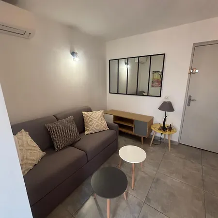 Apartment Les Flamants Roses La Capte T2 4 Personnes 200m De La *