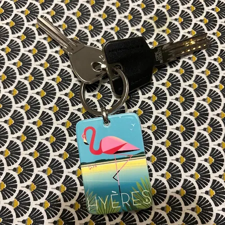 Apartment Les Flamants Roses La Capte T2 4 Personnes 200m De La *