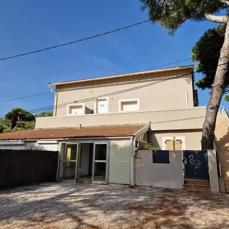 Les Flamants Roses La Capte T2 4 Personnes 200m De La *