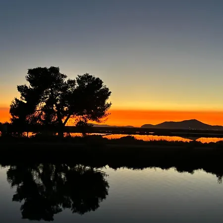 Les Flamants Roses La Capte T2 4 Personnes 200m De La * Hyères