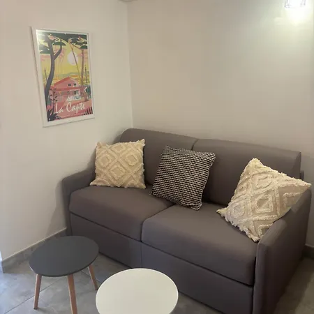 Les Flamants Roses La Capte T2 4 Personnes 200m De La Apartamento *