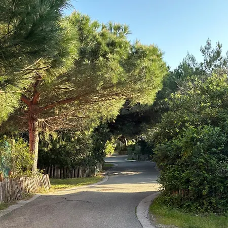 Les Flamants Roses La Capte T2 4 Personnes 200m De La Appartamento