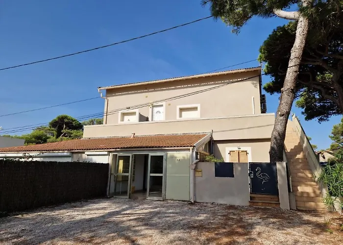 Les Flamants Roses La Capte T2 4 Personnes 200m De La *