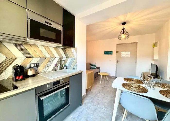 Les Flamants Roses La Capte T2 4 Personnes 200m De La * Hyères