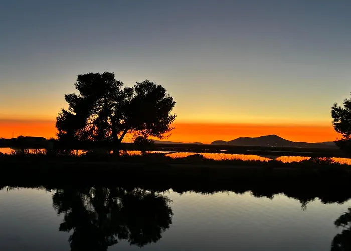 Les Flamants Roses La Capte T2 4 Personnes 200m De La * Hyères