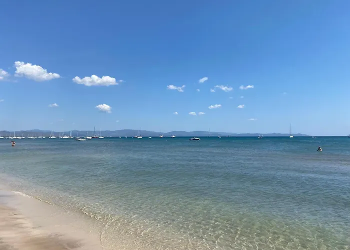 Les Flamants Roses La Capte T2 4 Personnes 200m De La