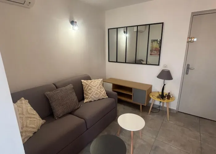 Lejlighed Les Flamants Roses La Capte T2 4 Personnes 200m De La *