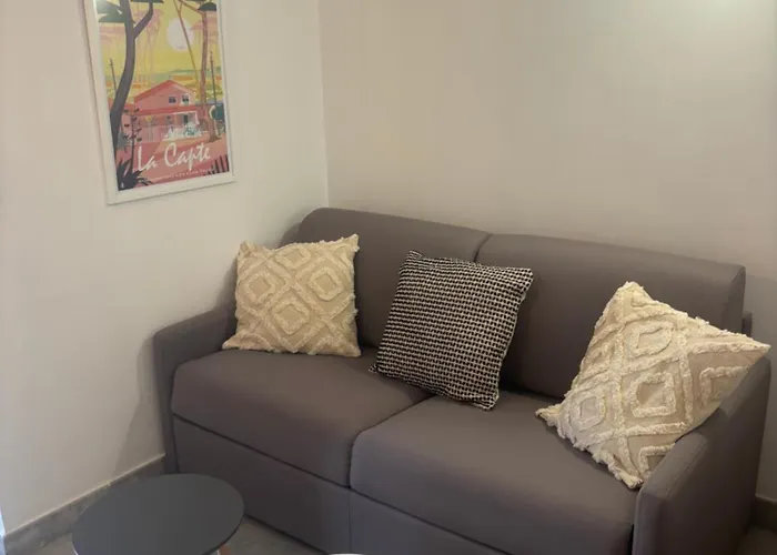 Les Flamants Roses La Capte T2 4 Personnes 200m De La Lejlighed *