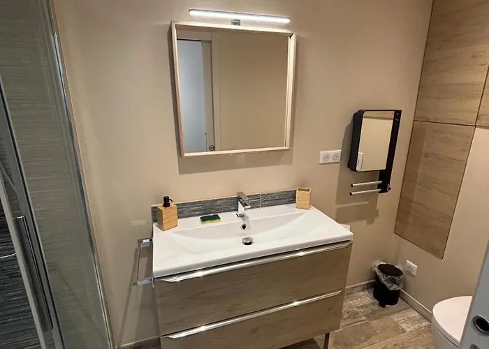 Les Flamants Roses La Capte T2 4 Personnes 200m De La Lejlighed *