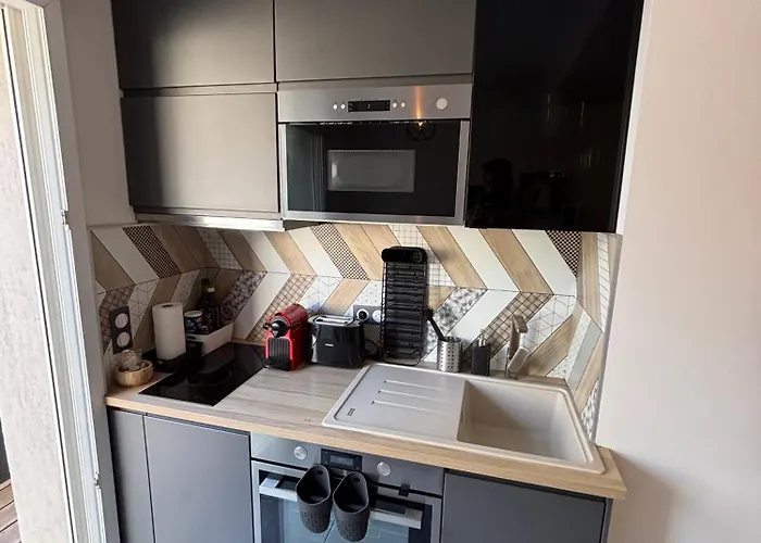 Les Flamants Roses La Capte T2 4 Personnes 200m De La *