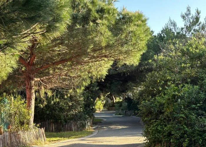 Les Flamants Roses La Capte T2 4 Personnes 200m De La Lejlighed