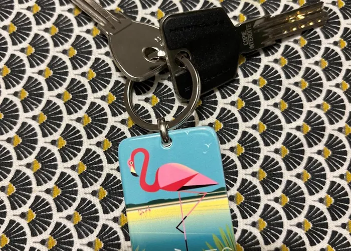 Lejlighed Les Flamants Roses La Capte T2 4 Personnes 200m De La *