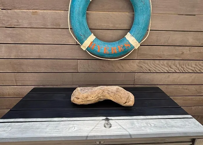 Les Flamants Roses La Capte T2 4 Personnes 200m De La *